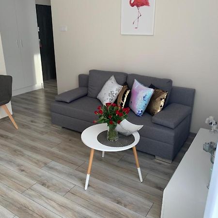 Apartament Walczaka 25 Miejsce Parkingowe Гожов Велкополски Екстериор снимка
